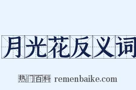 月光花反义词是什么意思的图片